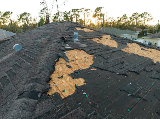 Best Asphalt Shingle Roofing  in Gadsden, AL